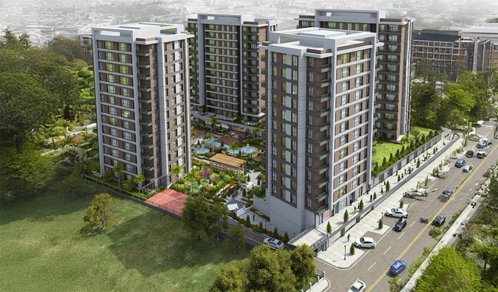 Our Project One Image 5